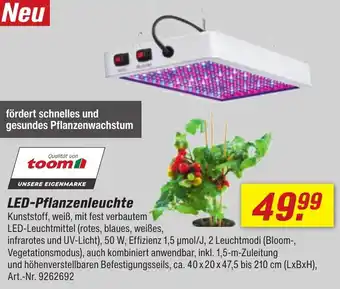 toom Baumarkt LED-Pflanzenleuchte Angebot