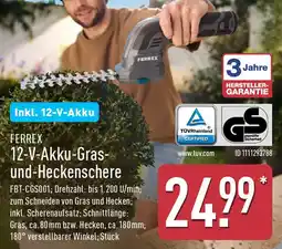 Aldi Nord FERREX 12-V-Akku-Gras und-Heckenschere Angebot