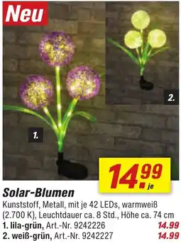 toom Baumarkt Solar-Blumen Angebot