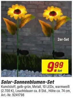 toom Baumarkt Solar-Sonnenblumen Set Angebot