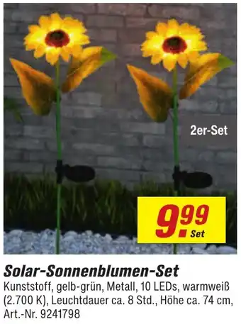 toom Baumarkt Solar-Sonnenblumen Set Angebot