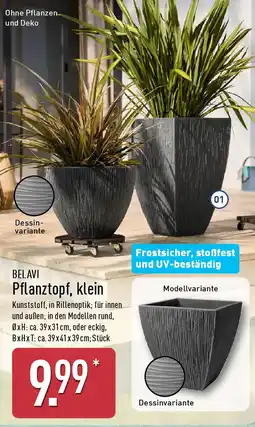 Aldi Nord BELAVI Pflanztopf, klein Angebot