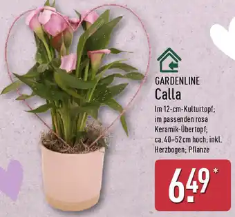 Aldi Nord GARDENLINE Calla Angebot