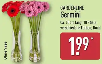 Aldi Nord GARDENLINE Germini Angebot