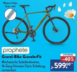 Aldi Nord prophete Gravel-Bike GravelerFit Angebot