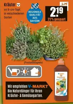 V Baumarkt Kräuter Angebot