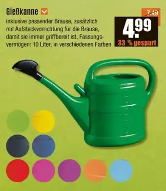 V Baumarkt Gießkanne Angebot