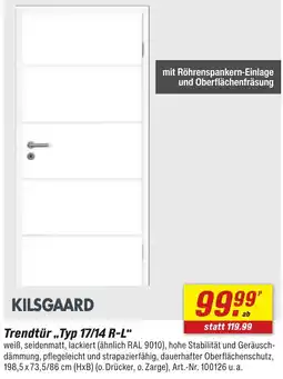 toom Baumarkt KILSGAARD Trendtür ,,Typ 17/14 R-L" Angebot