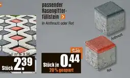 V Baumarkt passender Rasengitterfüllstein Angebot