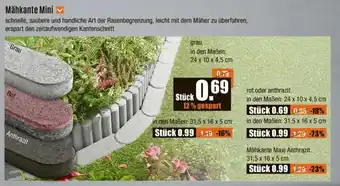 V Baumarkt Mähkante Mini Angebot