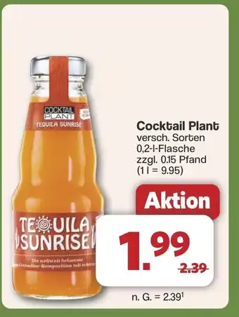 Famila Nord West Cocktail Plant Angebot