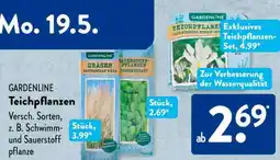 Aldi Süd GARDENLINE Teichpflanzen Angebot