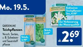 Aldi Süd GARDENLINE Teichpflanzen Angebot