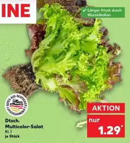Kaufland Dtsch. Multicolor-Salat Angebot