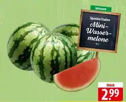 Famila Nord Ost Mini- Wassermelone Angebot