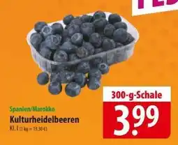 Famila Nord Ost Kulturheidelbeeren Angebot