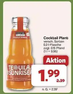 Famila Nord Ost Cocktail Plant Tequila Sunrise Angebot