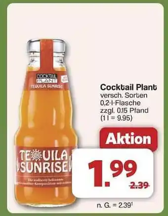 Famila Nord Ost Cocktail Plant Tequila Sunrise Angebot