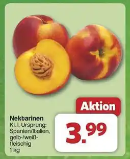 Famila Nord Ost Nektarinen Angebot