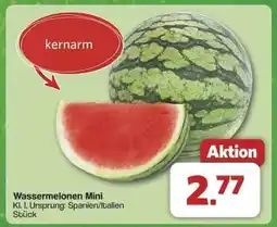 Famila Nord Ost Wassermelonen Mini Angebot