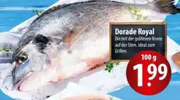 Famila Nord Ost Dorade Royal Angebot