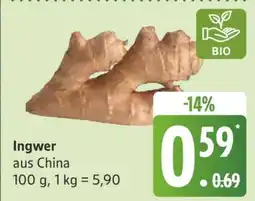 Edeka Ingwer aus China Angebot