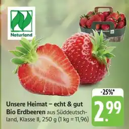 Edeka Bio Erdbeeren Angebot