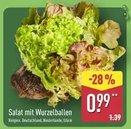 Aldi Nord Salat mit Wurzelballen Angebot