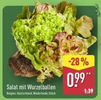 Aldi Nord Salat mit Wurzelballen Angebot