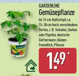 Aldi Nord GARDENLINE Gemüsepflanze Angebot