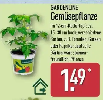 Aldi Nord GARDENLINE Gemüsepflanze Angebot