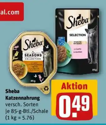 REWE SHEBA Katzennahrung Angebot