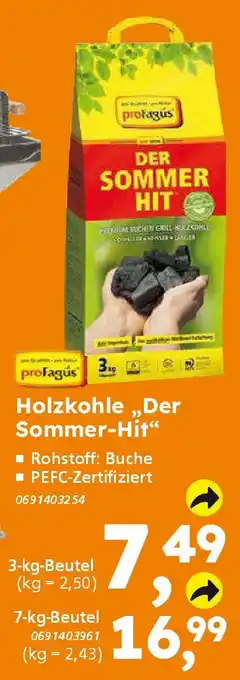 Globus Baumarkt profagús Holzkohle,,Der Sommer-Hit❝ Angebot