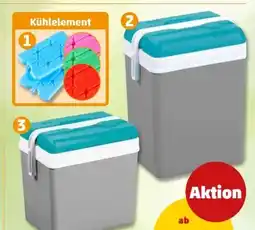 PENNY Kühlelemente Angebot