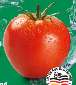 Lidl Bio Strauchtomaten Angebot