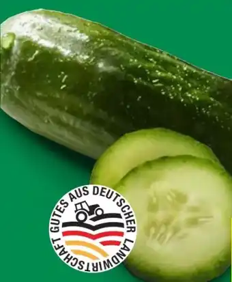 Lidl Mini Bio Gurken Angebot