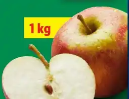 Lidl Bio Wetteräpfel Angebot