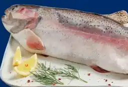 Lidl Fischerstolz Lachsforelle Angebot