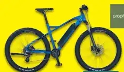 Lidl Prophete E-Mountainbike Graveler 22. ESM.10 Angebot