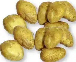 Scheck-in-Center Speisefrühkartoffeln Angebot