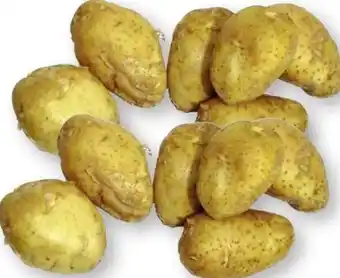 Scheck-in-Center Speisefrühkartoffeln Angebot
