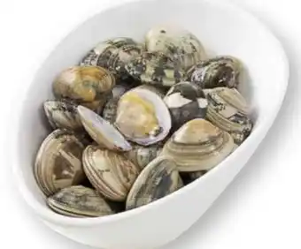 Scheck-in-Center Vongole Verace Angebot