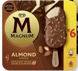 Scheck-in-Center Langnese Magnum Angebot