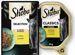 Scheck-in-Center Sheba Selection in Sauce Angebot