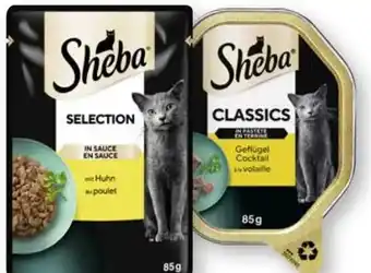 Scheck-in-Center Sheba Selection in Sauce Angebot