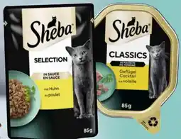Edeka Sheba Selection in Sauce Angebot