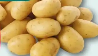 nahkauf Rewe Beste Wahl Speisekartoffeln Die Feinen Angebot