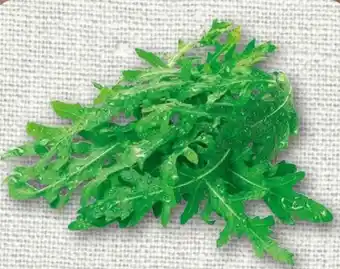 nahkauf Rucola Angebot