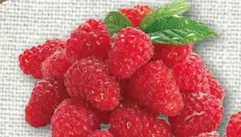 nahkauf Rewe Beste Wahl Frische Himbeeren Angebot