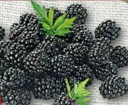 nahkauf Rewe Beste Wahl Brombeeren Angebot